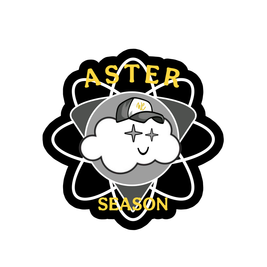 "ASTER SZN" SnapBack hat