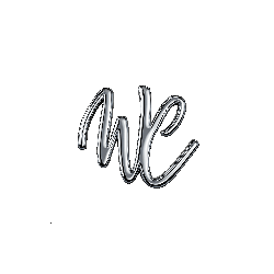 WAYZTED.CLO 